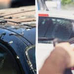 Fugler vil ikke drite på biler lenger: Dette må du