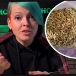 Hvordan velge ciderplanter og overraske naboene dine med en høst: